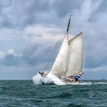 Zeilschip De Vrouw Dina * Leiden