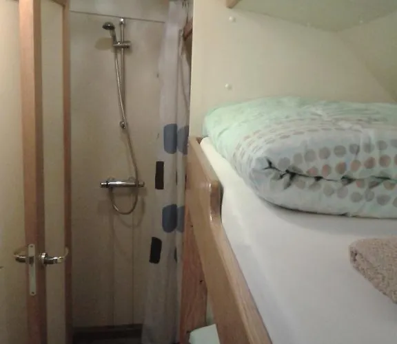 Zeilschip De Vrouw Dina * Leiden